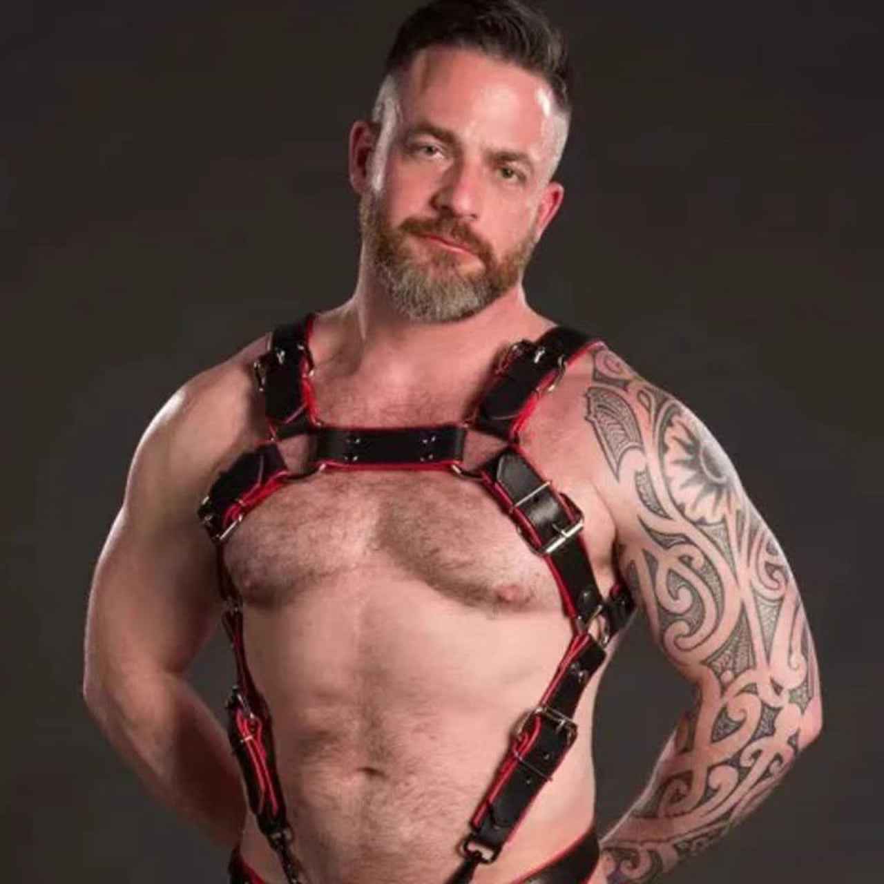 Adjustable Leather Chest Harness
