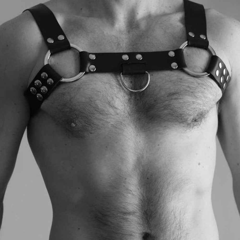 Black Leather Harness Range