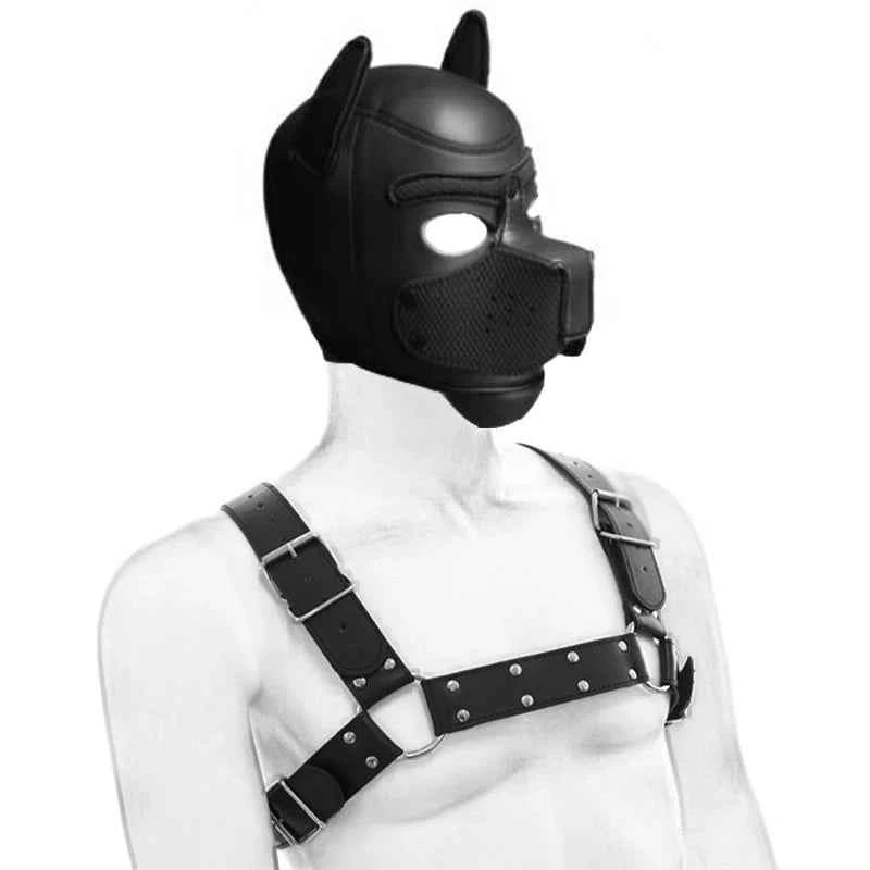 Complete Puppy Play Set
