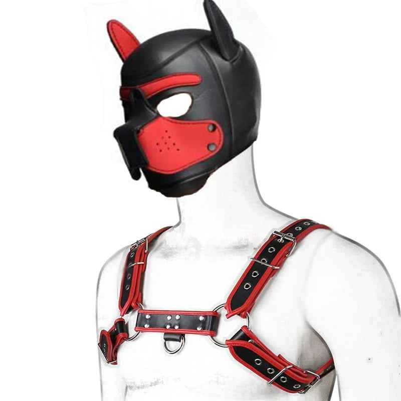 Complete Puppy Play Set